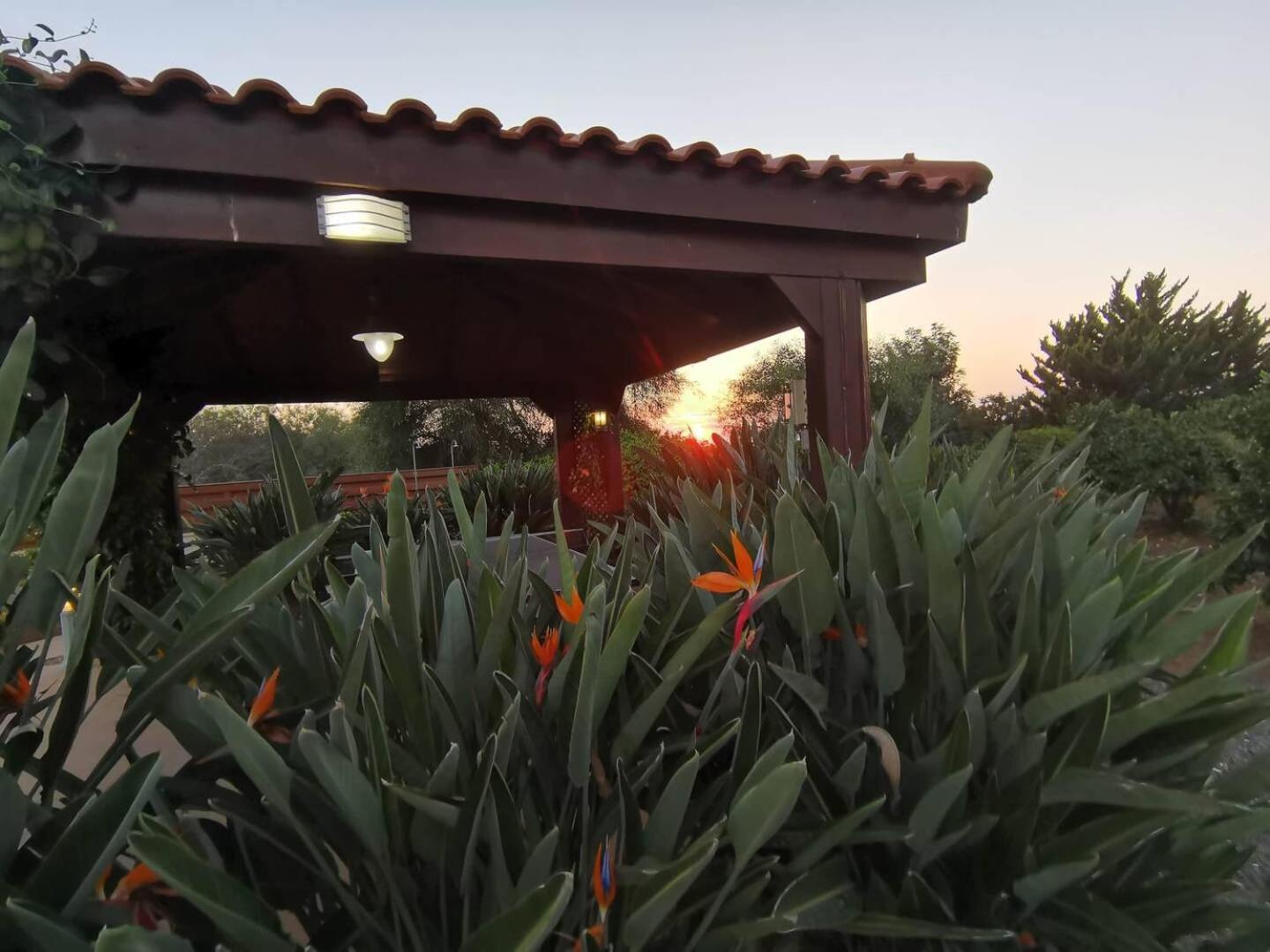 Orchard Blossom Private Villa With Pool Phrenaros Eksteriør bilde