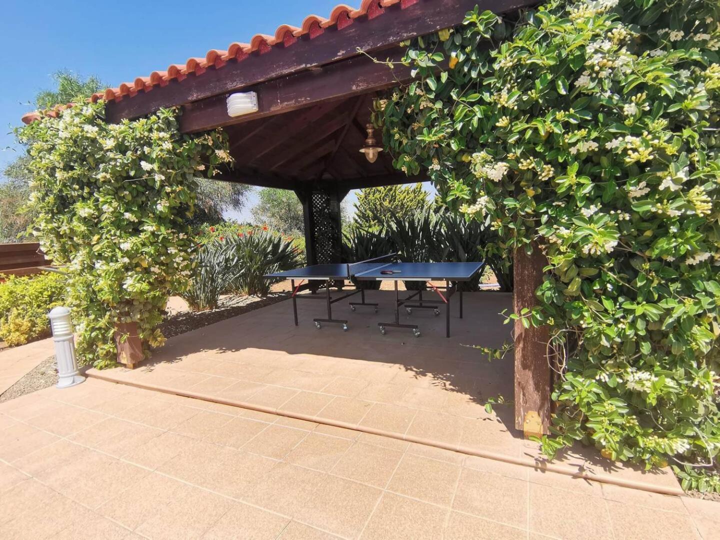 Orchard Blossom Private Villa With Pool Phrenaros Eksteriør bilde